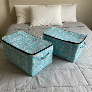 মাঝারি সাইজের ঢাকনাসহ বাস্কেট